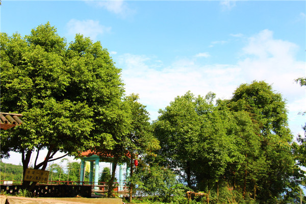 合江縣法王寺碧玉度假山莊